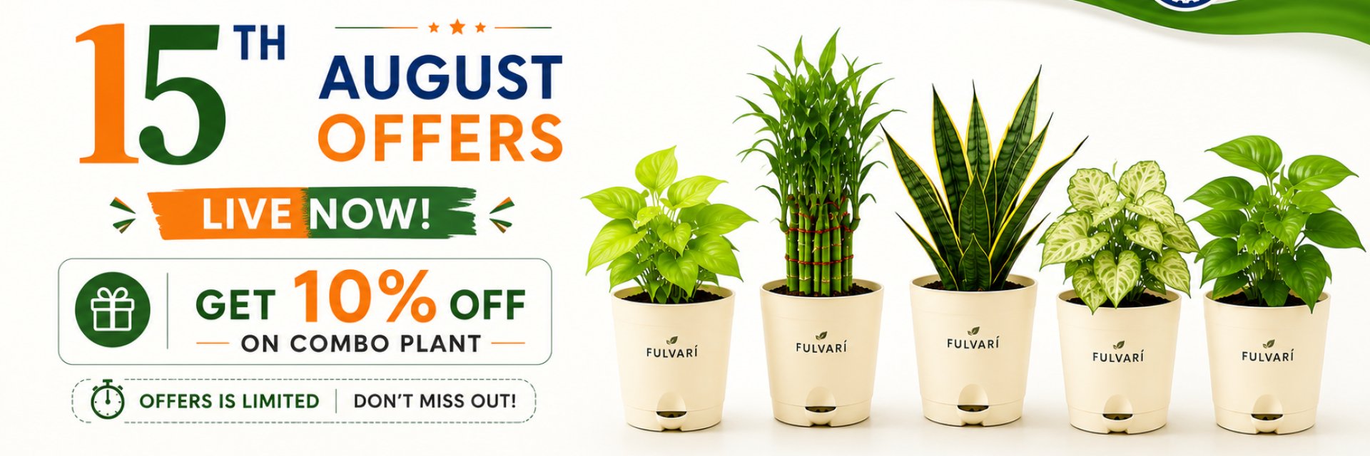 August offers