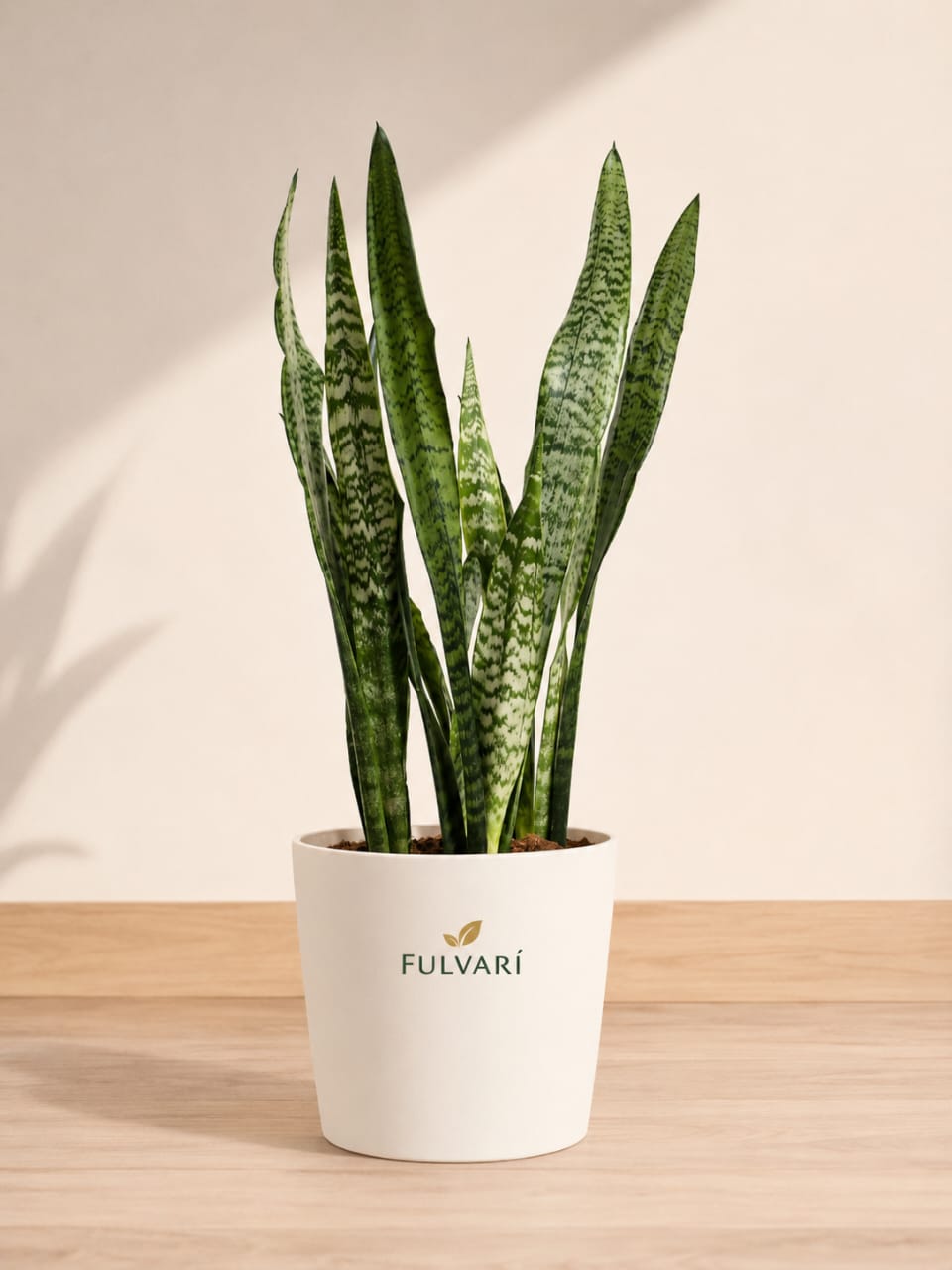 product/Ft5sL2bJVNBkeznvFh64LxdcdvVn85S1FIMxAQMk.jpg
